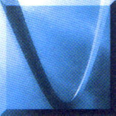 R&D Safe Harbor Kft.